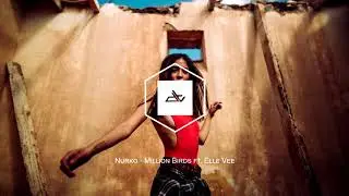 Nurko - Million Birds (ft. Elle Vee)