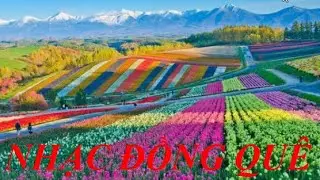 ✅ Nhạc đồng quê l Nhạc không lời l Hòa tấu guitar l Play list 27
