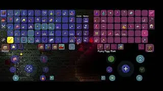 fighting dungeon boss Terraria