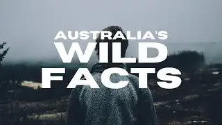Wild Facts | Amazing Facts of Australia | Visit Australia | Beauty of Australia | Travel Australia