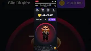 hamsterkomhamsterdailycombo 23 August 2024