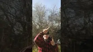 Und noch eine Meinung.