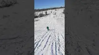 Мишутка