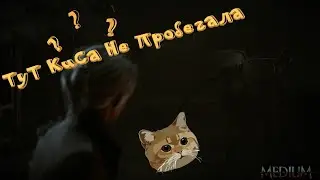 The Medium - Про Бать мух, подпольную лабораторию и кису.