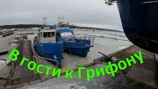 В гости к Грифону