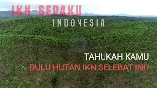 Cinematic Video Drone Hutan Produksi IKN Sebelum Proyek Berjalan | Calming Music