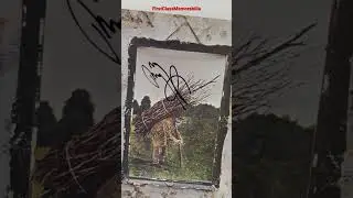 Jimmy Page signed Led Zeppelin IV Album Genuine Autograph Stairway to heaven