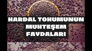 HARDAL TOHUMUNUN MUHTEŞEM FAYDALARI