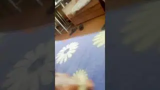 Пётр😭😭😭😭😭😭😭😭😭😭😭почему!