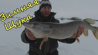 Жирная щука на живца | Зимняя рыбалка 2021