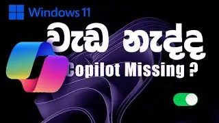Windows 11 Copilot Sinhala | Fix Windows Copilot | Enable Missing Copilot Button