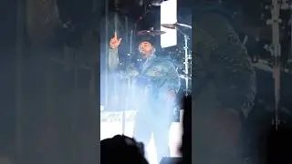 YO NO SÉ SI SEA MALANDRIN, PERO ME GUSTA LO BUENO 🤠