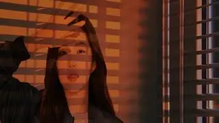 Tutorial editting effect sun blinds