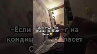 Оазис спасет 🤣#лето #юмор #прикол #пранк #топ #shorts #short #популярное #подпишись