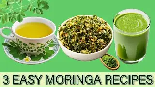 Moringa Recipes: Easy Recipes for Beginners!