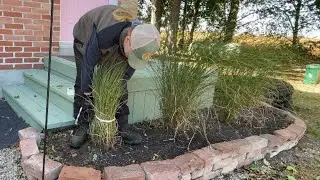 Trimming ORNAMENTAL GRASS using the STRING METHOD