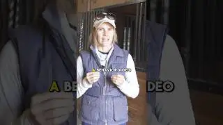 Why is your horse having  behavior issues?| 