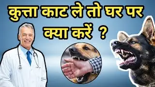 घर पर कुत्ते के काटने का इलाज कैसे करें || रेबीज के कारण होने वाली समस्याएं || @drxsumitkaushik7702