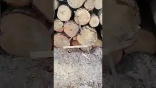 РАЗДЕЛКА ЛЕСА НА 6-тиметровый ассортимент.