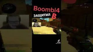 хорошая  защит а плента)