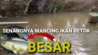 SPOT MANCING DI MALAYSIA