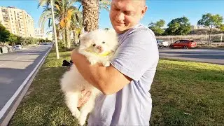 Вместе весело шагать....