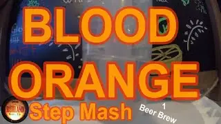My Long Ass Step Mash Home Beer Brew Batch 96 Blood Orange 1 Iron Pour Blood