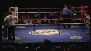 Tavoris Cloud vs Mike Wood Boxing, March 28, 2008