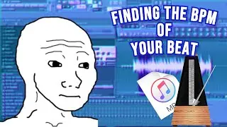 HOW TO FIND THE BPM OF A BEAT IN FL STUDIO