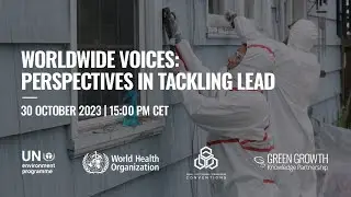 Worldwide Voices: Perspectives in tackling lead