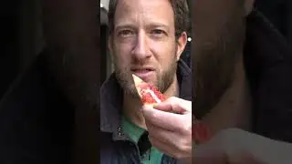 I Was Disgusted By This Pizza