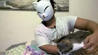 My stubborn cat