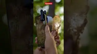 ULTIMATE Macro Lens For Mobile- Kase 85mm 