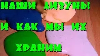 НАШИ ЛИЗУНЫ  И  КАК МЫ ИХ ХРАНИМ!!!