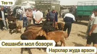 дехконобод мол бозори нархлари сешанби мол бозори нархлари