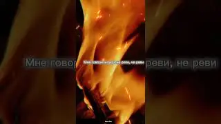ANNA ASTI – Феникс