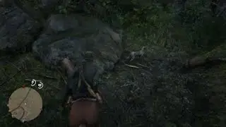 Dog leads me to zombie in Red Dead Online