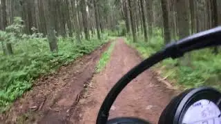 metsäkävely Ducati