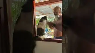Na haciendi svi plesemo