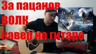 За пацанов / ВОЛК / кавер на гитаре