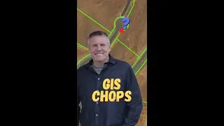 ArcGIS Pro Editing Trick 