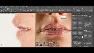 3ds max tuto hide selected and selected vertices other solution to soft- selection and ffd