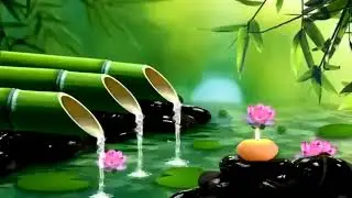 Relaxing Music with Nature Sounds | Soothing Music for Stress Relief, Sleep, Meditation, Spa, Study