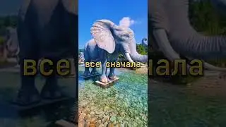 Скорее принимай Послание Вселенной для тебя. Для енергообмена ставь ❤️ и подпишись ✅