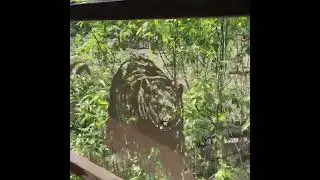 Несносно x Столбы