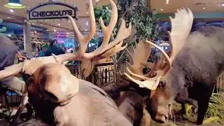 #Calgary Amazing Wildlife Display at Cross Iron Mills #canada
