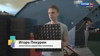 Движение вверх. Олонецкий лесопитомник. 01.07.2021