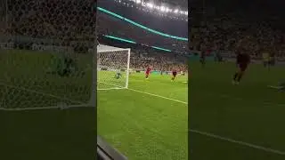 golaço do Richarlison pela seleção brasileira