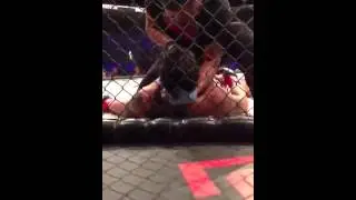 Paul Daley vicious KO at DFC 4