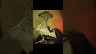 Tales from the Mos Eisley Cantina #5 The Sand Tender Review